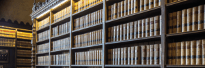 Defamation Law