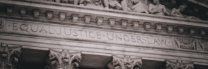 State & Federal Litigation