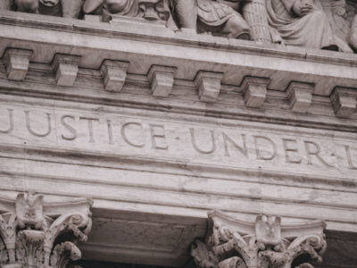 State & Federal Litigation