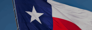 Newtons Law Texas Flag