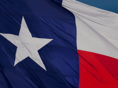 Newtons Law Texas Flag